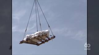 Colorado Experience: Dinosaurs - Sneak Peek!