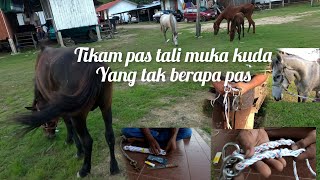 tikam pas tali ternakan ustakk piat... #kudaMalaysia #kudapadi #kelate #horse #horseriding