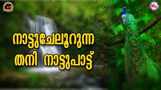 നാട്ടുചേലൂറുന്ന തനി നാട്ടുപാട്ടാണിത്  |  Nadan Pattukal Malayalam | Folk Songs Malayalam
