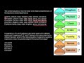 how to memorize taxonomic ranks mnemonic technique