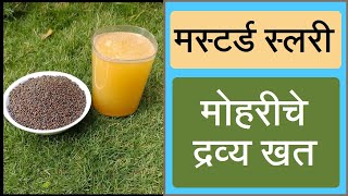 Homemade fertilizer Mustard Slurry Preparation and use | मोहरीचे द्रव्य - खत | Mohari pend