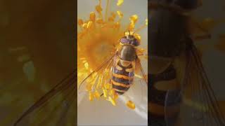 Solve the Mystery: Bug Identification Made Simple