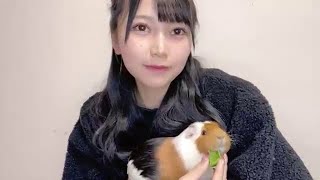 前田令子 (NMB48) SHOWROOM 2023年1月29日