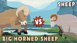 Sheep vs Big Horned Sheep | Domestic vs Wild Animals [S1] | Animal Animation