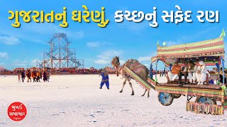 Kutch RannUtsav | ધોરડો ખાતે કચ્છ રણોત્સવમાં પ્રવાસીઓમાં ભારે આનંદ અને ઉત્સાહ | Mumbai Samachar