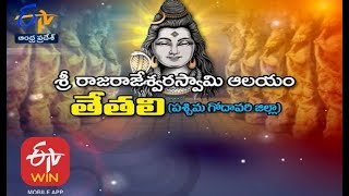 రాజరాజేశ్వరస్వామి ఆలయం | తేతలి |ప.గో.జిల్లా| తీర్థయాత్ర | 23 మార్చి 2020 |  ఏపీ