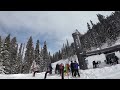 telluride powder day skiing in happy thoughts woods