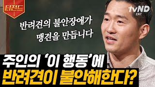 [#티전드] 전국의 강아지 보호자님들 주목❗ 강형욱 훈련사에게 듣는 강아지들이 싫어하는 행동과 친해지는 법🐶 | #어쩌다어른