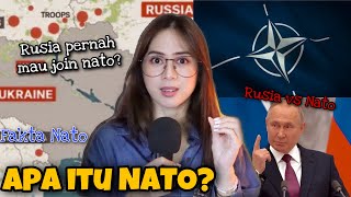 Apa itu NATO? (Sejarah Dunia) #GeekRelia