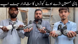 Highflyer Resulted Pigeons Setup Visit in Karachi Teddy Kamagar Golden Breeder Pairs \u0026 Baby Pigeons