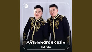 Айтылмаған сезім