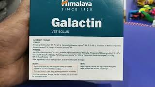 Galactin Vet bolus