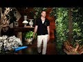 Imagine Dragons' Dan Reynolds on His Guilt as a 'Unique Mormon' - Extended Cut