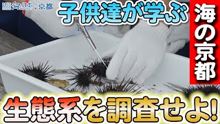 海の京都調査隊！舞鶴湾の生態系を探る冒険！ 日本財団 海と日本PROJECT in 京都 2023 #02