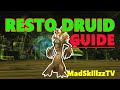 Resto Druid Starting Guide: WoD 6.1 & 6.2