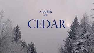 winter days with cover of cedar