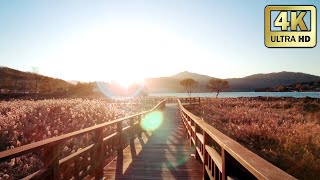 [4K] 제주 느낌나는 서울근교의 숨겨진 여행지 | 경기도 팔당 전망대 구석구석 | 강하면 공원