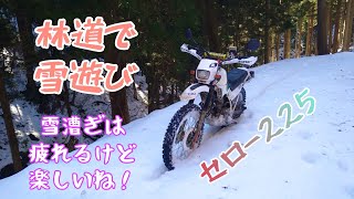 林道ツーリング #91 雪山で遊んできた！ セロー２２５