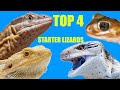 Top 4 Best Beginner Lizards