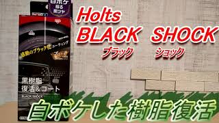 未塗装樹脂復活　Holts BLACK SHOCK  ブラックショック 施工　レビュー