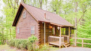 Stunning Beautiful The Tree house Lodge, Cozy Inside | Exploring Tiny House