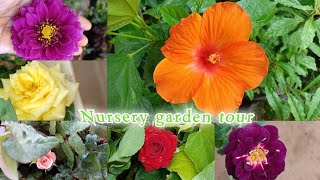 Nursery garden tour in arumuganeri/in tamil by YouTube friendship