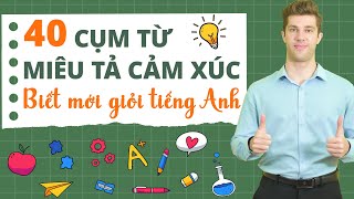 40 CỤM TỪ MIÊU TẢ CẢM XÚC TRONG TIẾNG ANH GIAO TIẾP HAY NHẤT - Tiếng Anh giao tiếp cho người đi làm