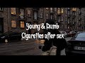 Young & Dumb - Cigarettes after sex | Lyrics Video