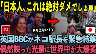 英国BBCが猫が駅長の経済効果が世界中で話題に！【海外の反応】