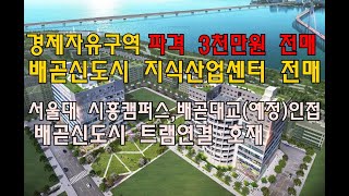 [번호 431709] 경기 시흥시 배곧동 배곧신도시내 지식산업센터 전매 아파트형공장매매 가격저렴 24년입주 오이도 시화공단 바다 공원인접 배곧대교 서울대시흥캠퍼스인근 부동산직거래