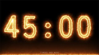 Electric Timer ⚡ 45 Minute Countdown