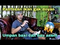 Cara upaya umpan jitu dan tidak mudah basi | Tips Mancing ikan