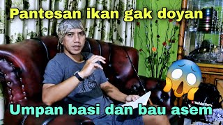 Cara upaya umpan jitu dan tidak mudah basi | Tips Mancing ikan