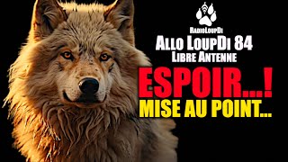 Allo LoupDi 84  - Espoir...! ...Mise au point...