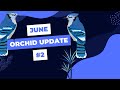 June Orchid Update 2