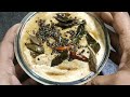 bina piaja rasuna chatani recipe in odia badam chatney recipe without onion garlic