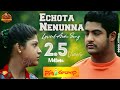 Echota Nenunna Full Lyrical Audio Song HD || Ninnu Choodalani || Jr NTR, Raveena || Jr NTR Music