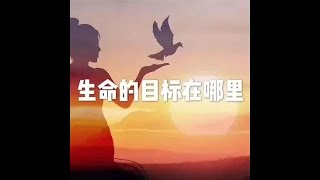 201703 生命的目标在哪里22347