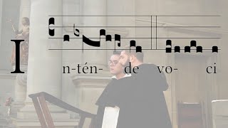 Intende Voci O.P. (Dominica VII Tempus per Annum)