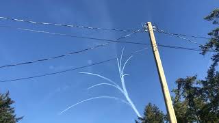 Snowbirds training CFB Comox