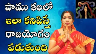 పాము కలలో ఇలా కనిపిస్తే రాజయోగం పడుతుంది | Snake In Dreams | Bhanu Koteswari Astrologer