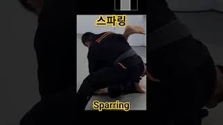 Sparring #Sparring 스파링 #스파링