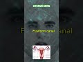 Uterus song #nursinglicense #nursingstudent #midwifery