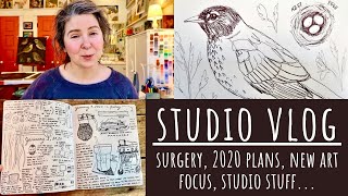 NEW ART FOCUS, 2020 PLANS, SURGERY, PLANS FOR THE STUDIO & MORE!