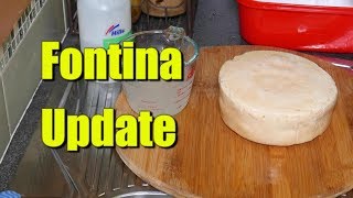 Fontina Update - 11 to 12 Weeks