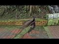 VLOG - Kuala Lumpur Bird Park #vlog12