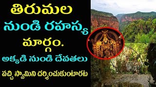 Tirumala Tirupathi Inside Story | Unknown Facts in Telugu