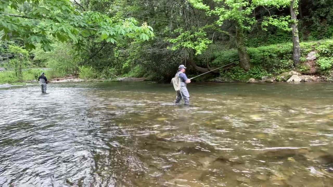 Fly Fishing Chattahoochee River (WMA) . - YouTube