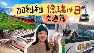 (有聲音)🇩🇪🇨🇭加利利德瑞14 日【交通篇】🚠少女峰纜車、齒軌列車、德國ICE、新天鵝堡馬車、琉森遊湖、國王湖遊湖、長榮航空