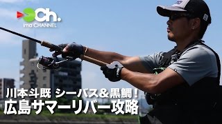 川本斗既 シーバス&黒鯛！広島サマーリバー攻略